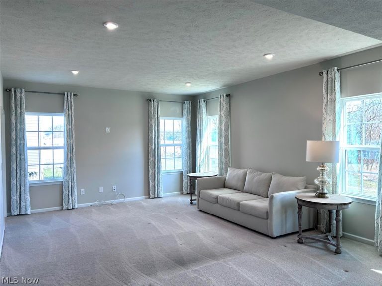 4620 Briar Hill Drive, Ravenna, OH - Photo 6