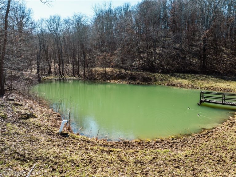 Eckley Road, Jewett, OH - Photo 5