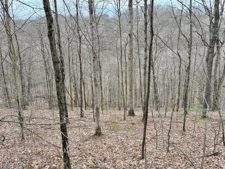 Hanson Road, Beverly, OH - Photo 5