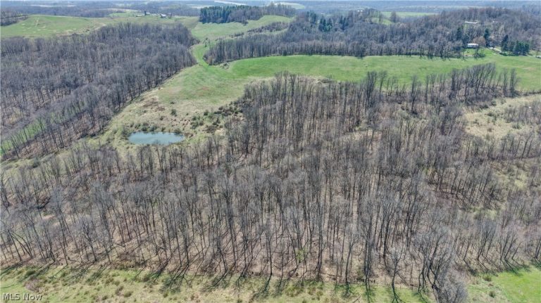 Township Road 127, Millersburg, OH - Photo 2