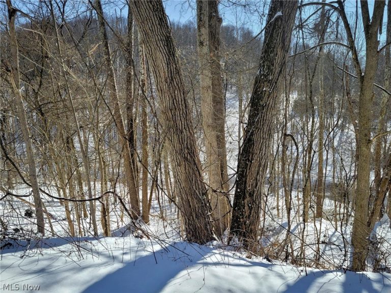 Tract 11 Miltonsburg-Calais Road, Woodsfield, OH - Photo 5
