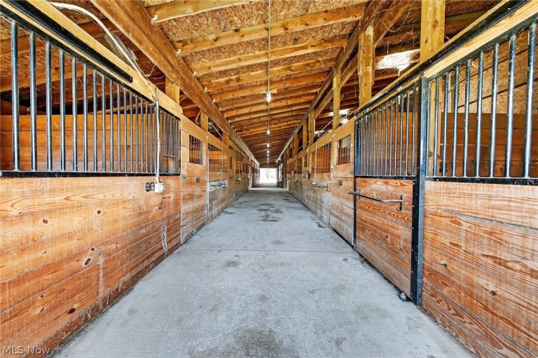 1315 Morning Star Drive, Roaming Shores, OH - Photo 3