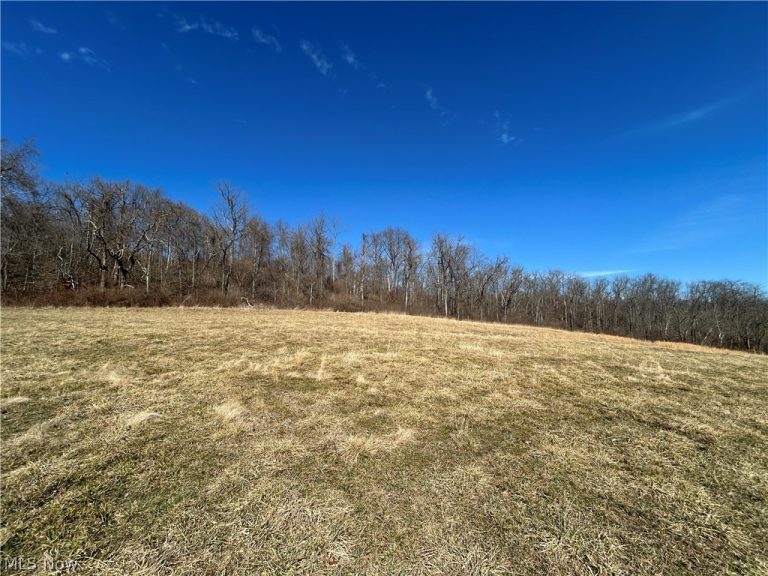 Ridgeview Lane, Blue Rock, OH - Photo 4