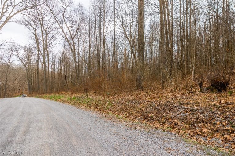 Pledge Road, Carrollton, OH - Photo 2