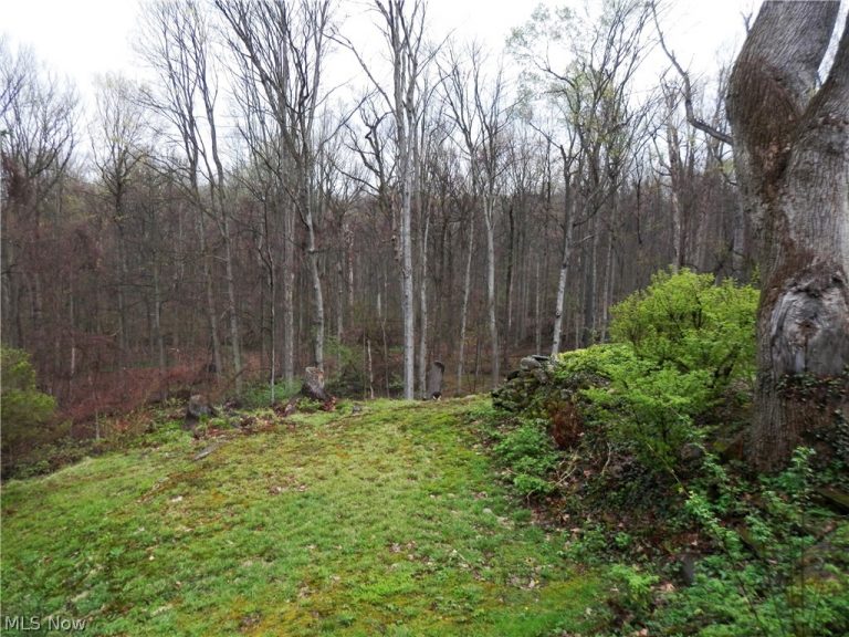 10200 Mayfield Road, Chesterland, OH - Photo 8