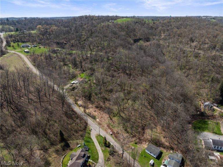 115 Township Road 501, Mingo Junction, OH - Photo 2