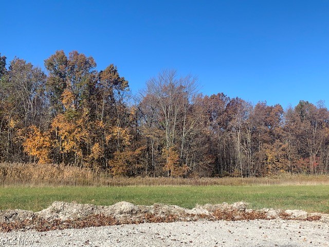 0000 Courtyard Drive, Lorain, OH - Photo 8