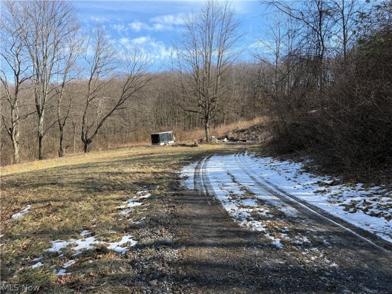 13640 Birch Road, East Liverpool, OH - Photo 2
