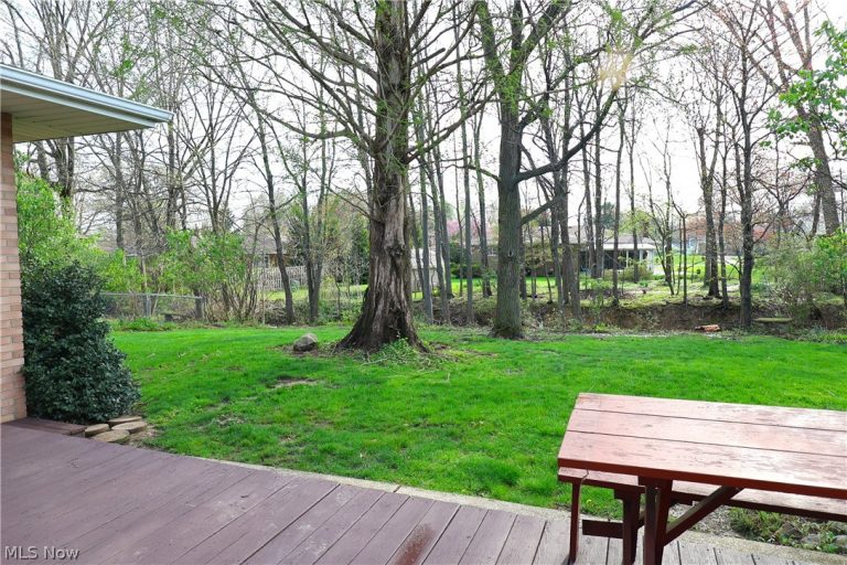 6663 Donna Rae Drive, Seven Hills, OH - Photo 6