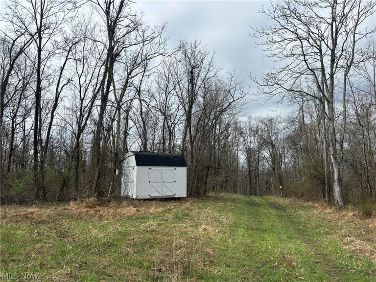 Wilbur Bush Road, Crooksville, OH - Photo 4