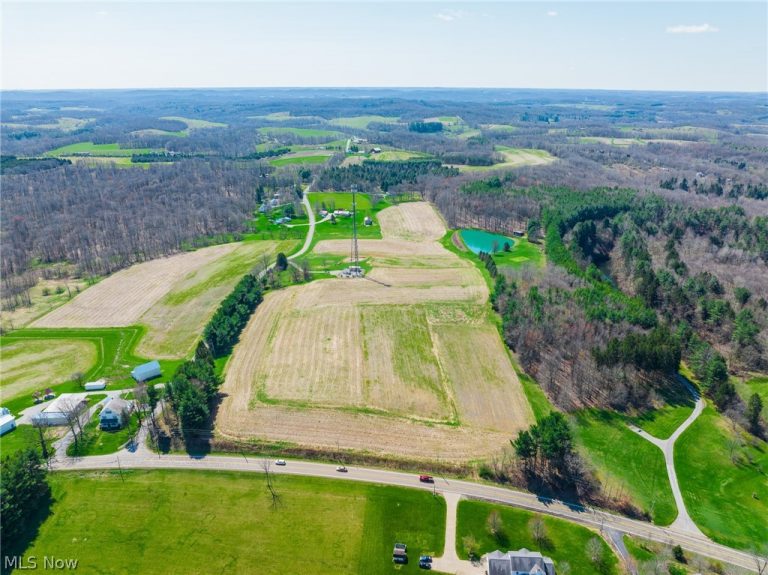 9050 Freeman Road, Lisbon, OH - Photo 3