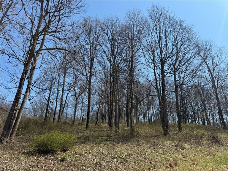 Kragel Road, Wintersville, OH - Photo 4