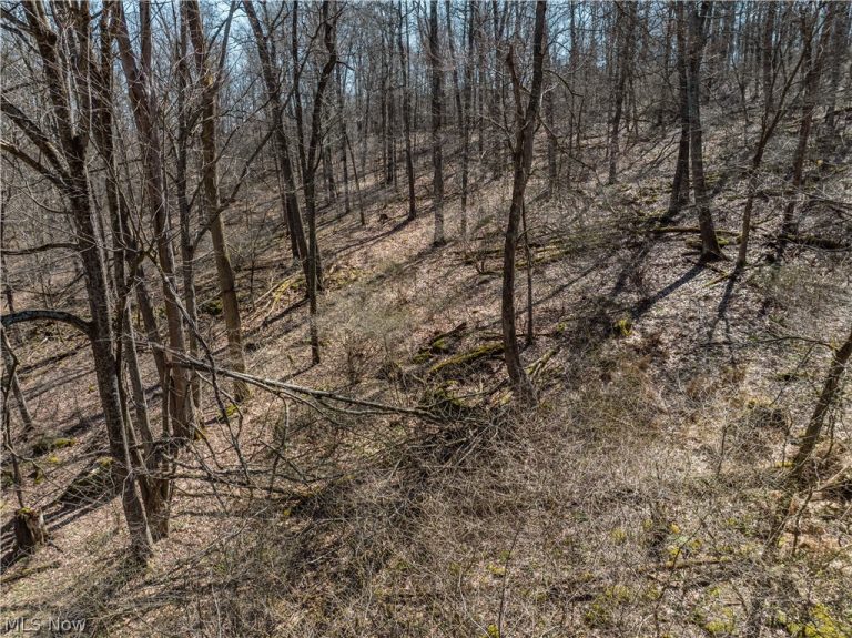 Township Road 34, Killbuck, OH - Photo 8