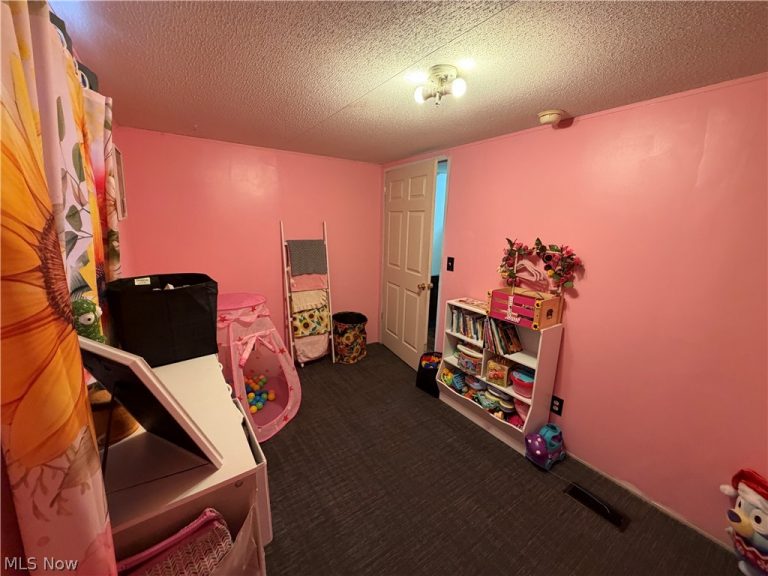 2316 Deerfield Drive, Deerfield, OH - Photo 8