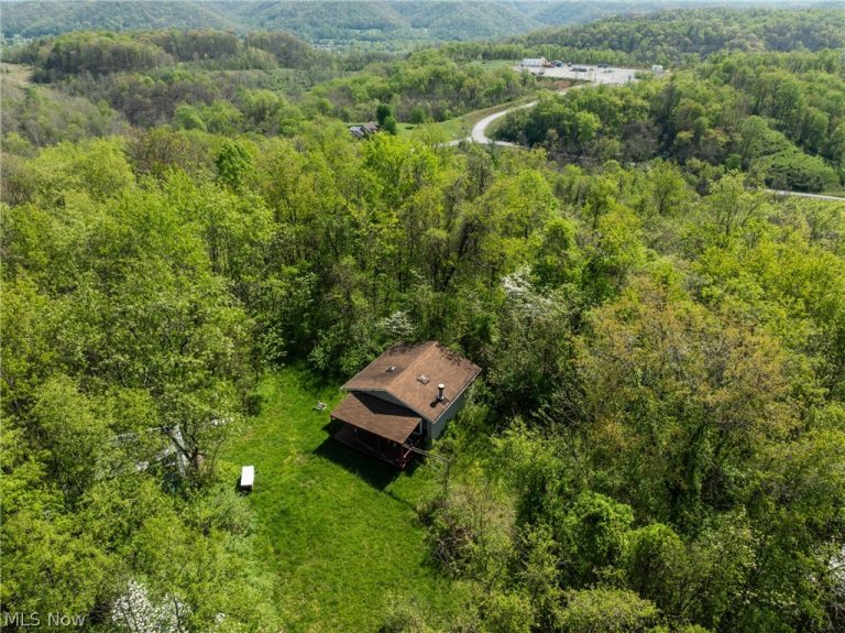 55844 T 132, Powhatan Point, OH - Photo 2