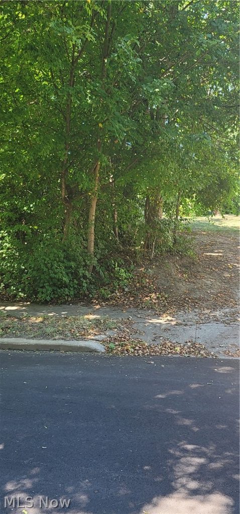 Kline Avenue, Akron, OH