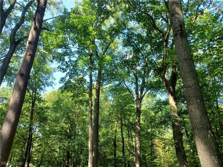 695 Hubbard Road, Lowellville, OH - Photo 2