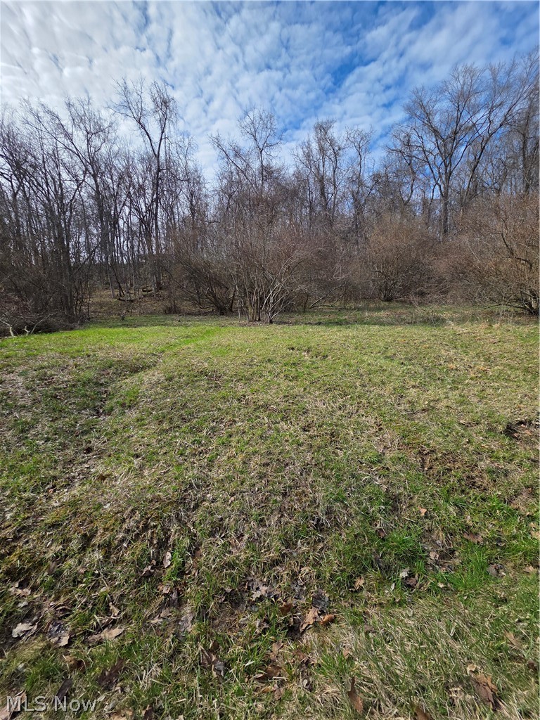 Iroquois Trail, Senecaville, OH - Photo 2