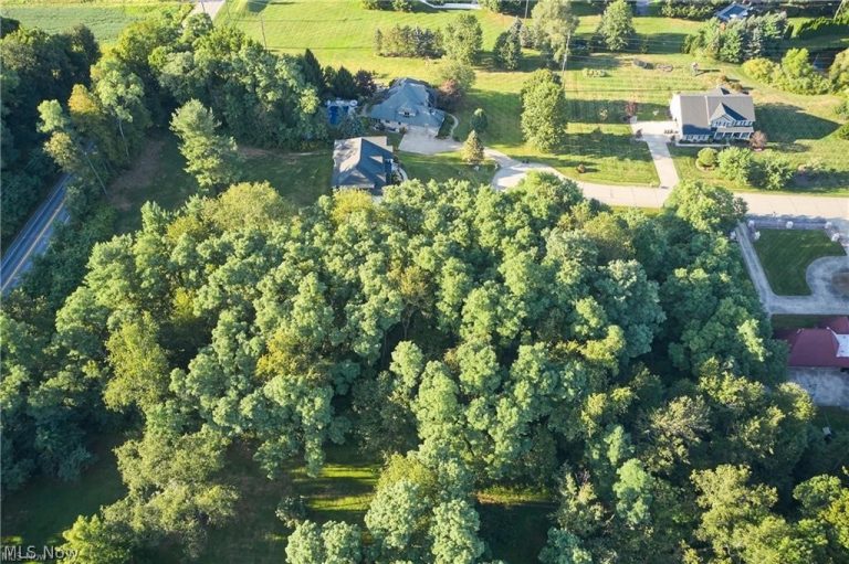 4872 Autumn Leaves Drive, Akron, OH - Photo 2