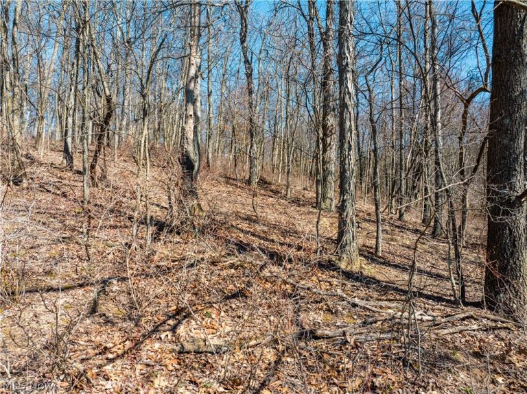Burrier Road, Jewett, OH - Photo 5