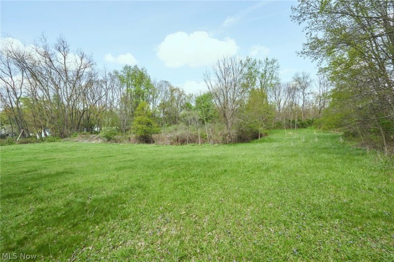 V/L Killian Road, Akron, OH - Photo 4