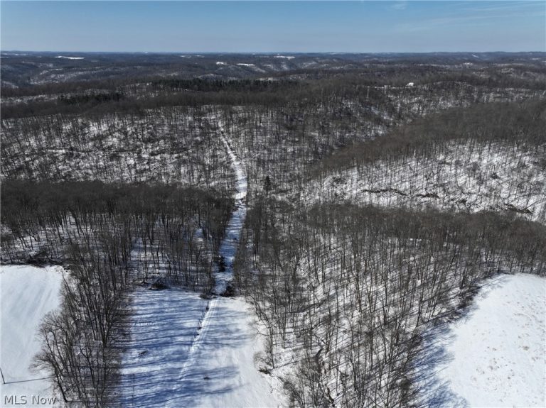 Tract 4 Twp Rd 815, Woodsfield, OH - Photo 4