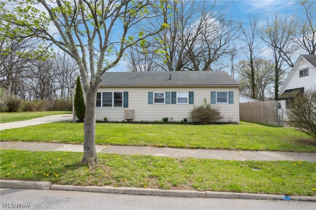 1153 Janis Avenue, Akron, OH