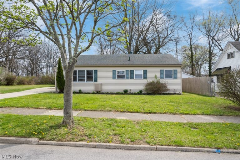 1153 Janis Avenue, Akron, OH, 44314