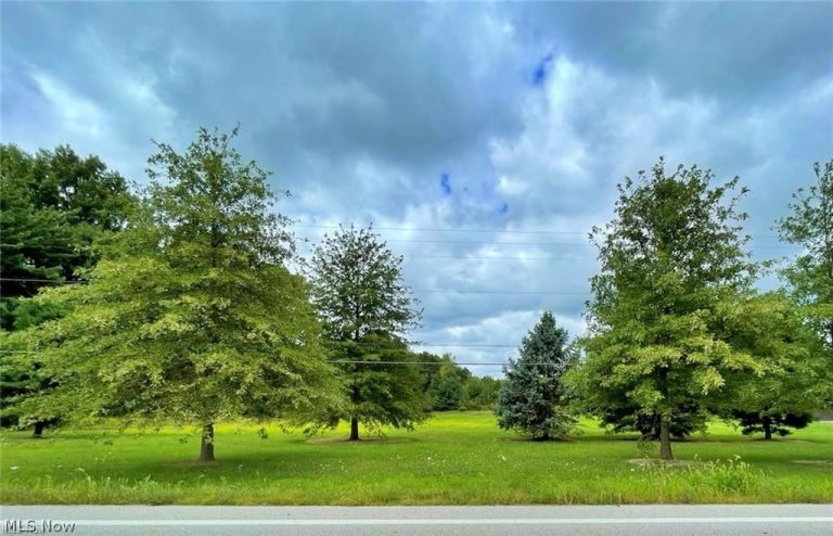 State Route 113, Wakeman, OH - Photo 2