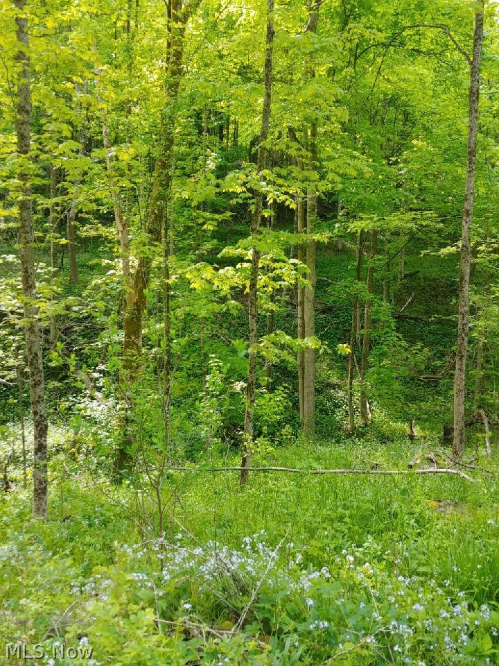 00 Pipe Creek Road, Jacobsburg, OH - Photo 8