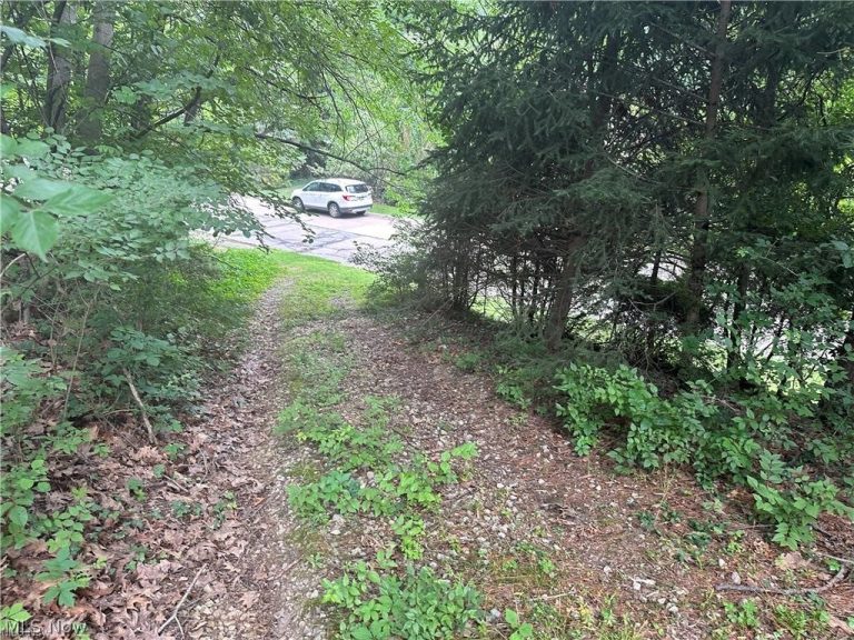 Belleau Wood Drive, Akron, OH - Photo 3