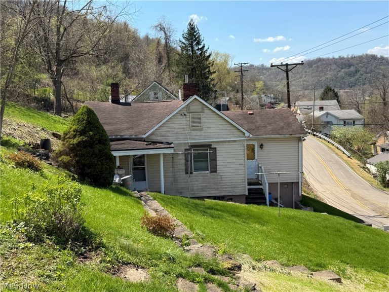 56624 Boyd Avenue, Bridgeport, OH - Photo 2