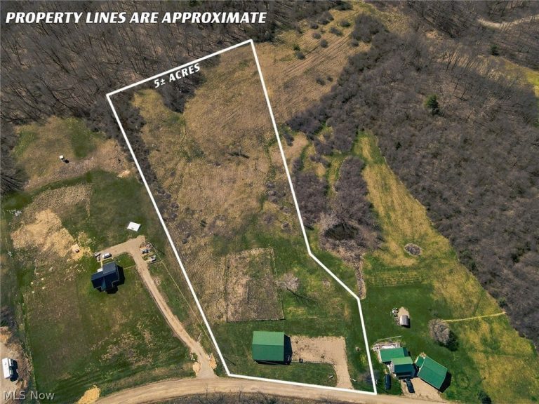 6880 Shaver Road, Blue Rock, OH - Photo 3