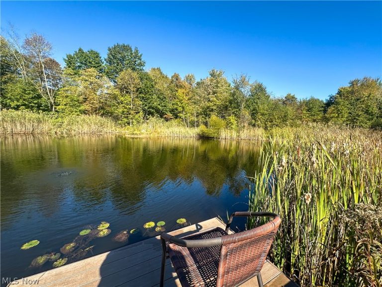 100 Cottage Grove Drive, Youngstown, OH - Photo 6