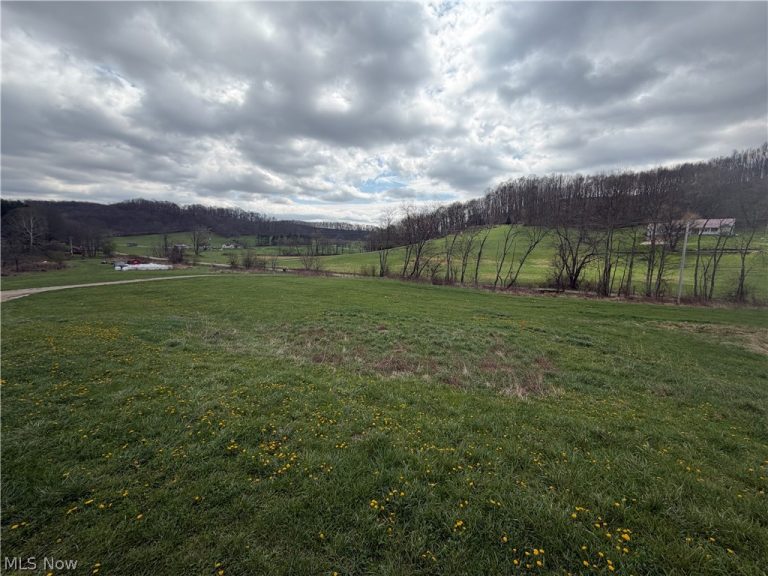 6995 Bill Johns Road, Newcomerstown, OH - Photo 5