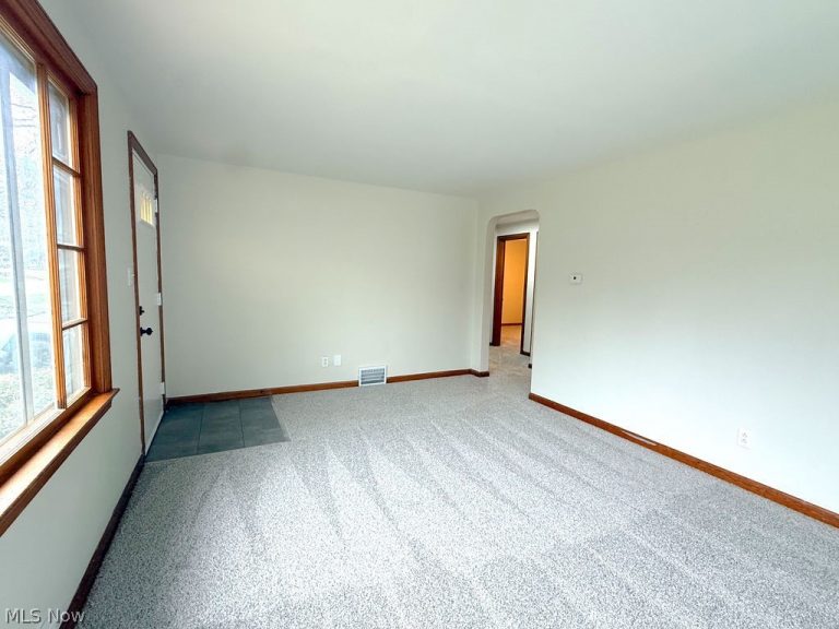 442 10th Street, Struthers, OH - Photo 6