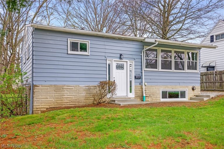 1155 Stanwood Avenue, Akron, OH - Photo 3