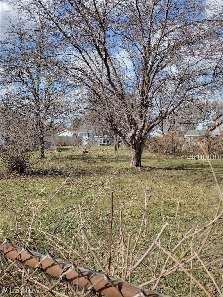 Vega Avenue, Cleveland, OH - Photo 4