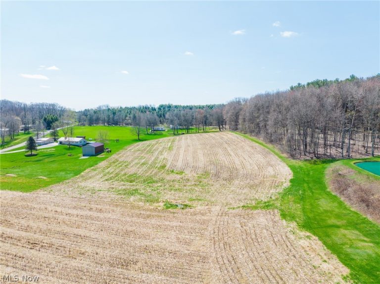 9050 Freeman Road, Lisbon, OH - Photo 2