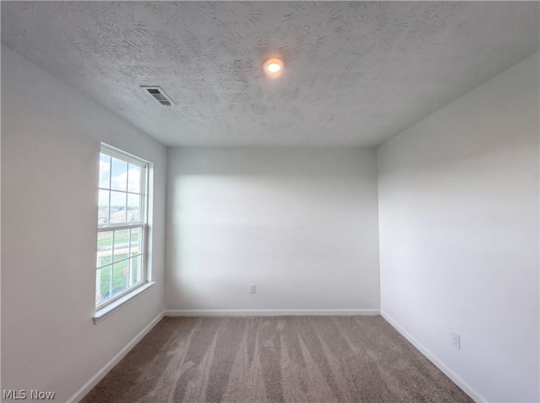 9200 Nash Lane, North Ridgeville, OH - Photo 8