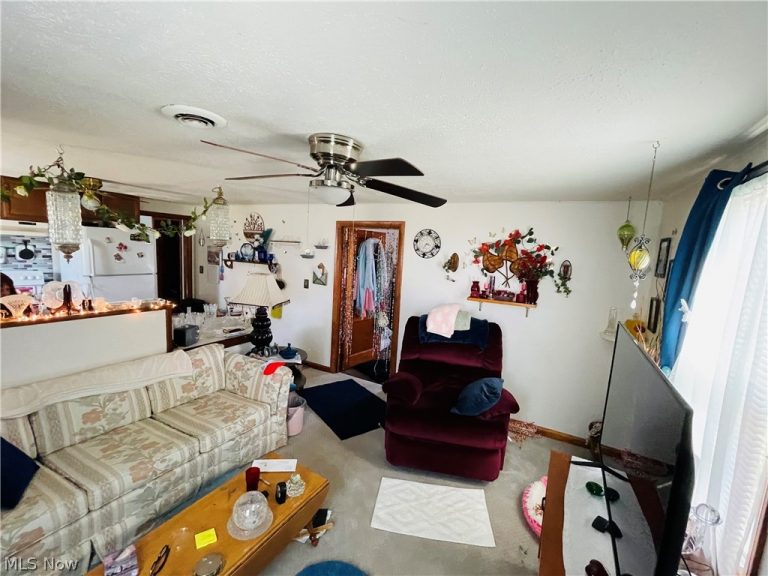 219 Mulberry Street, Wooster, OH - Photo 8