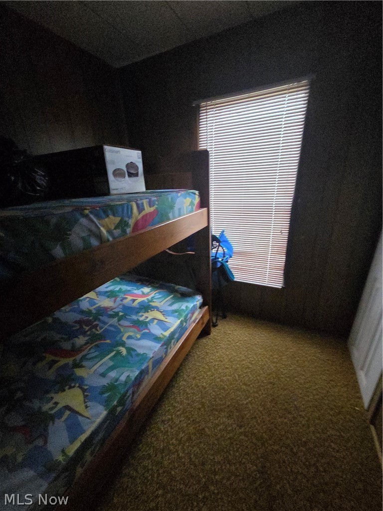 6994 Pymatuning Lake Road, Andover, OH - Photo 4