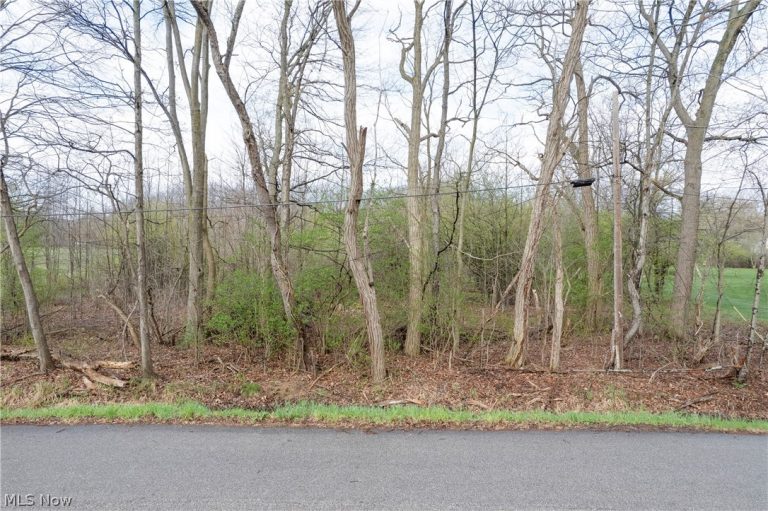 Dutt Road, Norton, OH - Photo 2