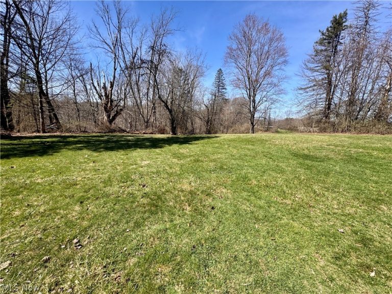 11685 Mills Road, Garrettsville, OH - Photo 3