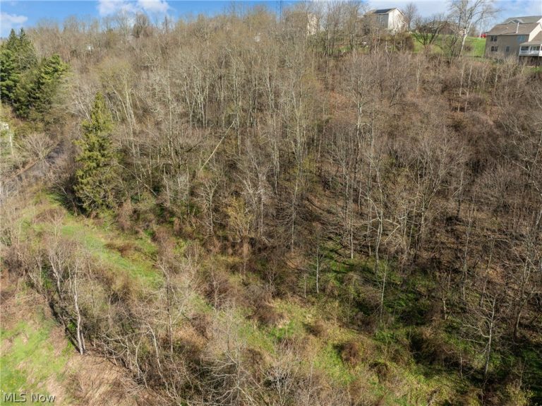 Big Way, Shadyside, OH - Photo 3