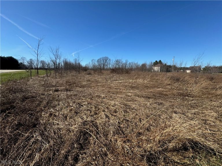 3790 Station Road, Medina, OH - Photo 3