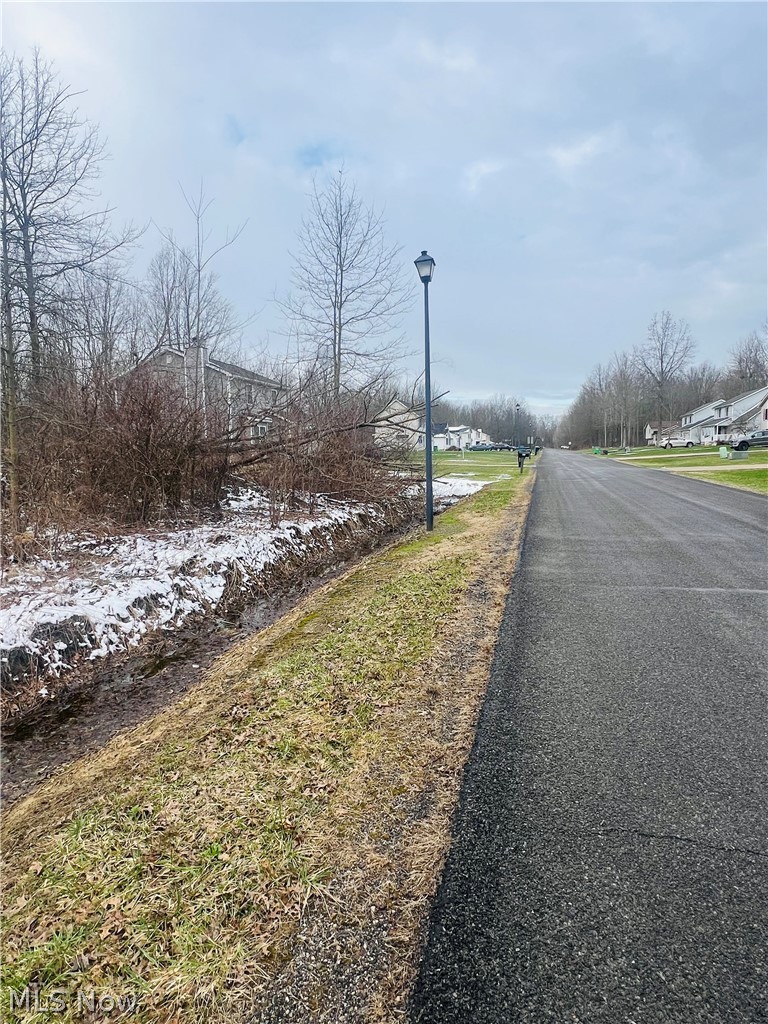 Lot 134 Breezewood Lane, Orwell, OH - Photo 4