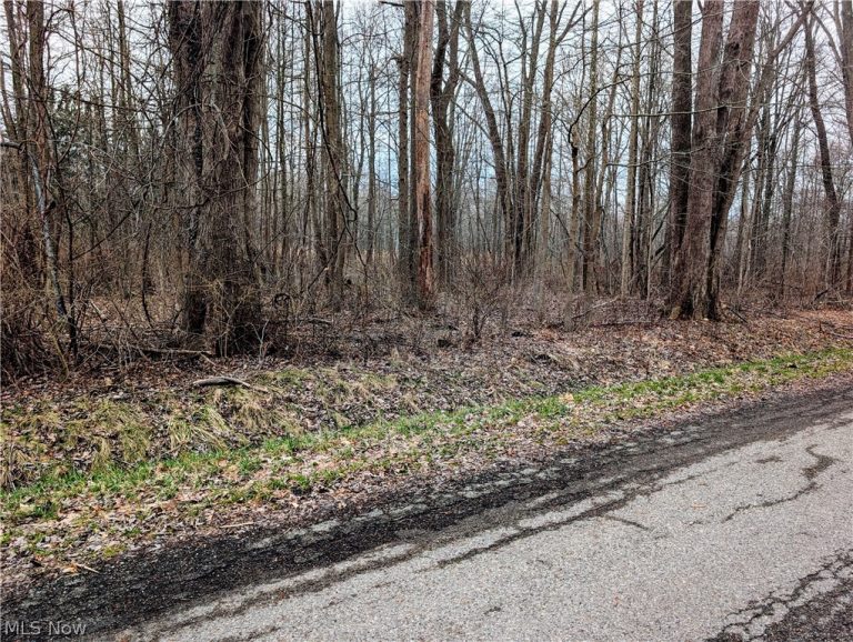 Magnolia Drive, Madison, OH - Photo 2