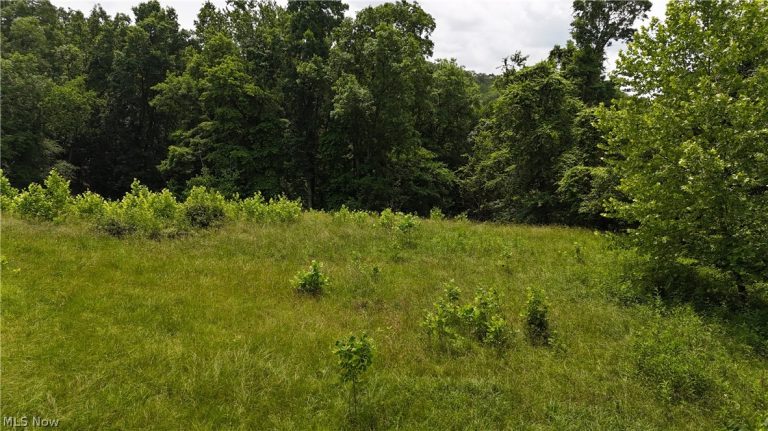 10 Bella Vista Drive, Vienna, WV - Photo 4