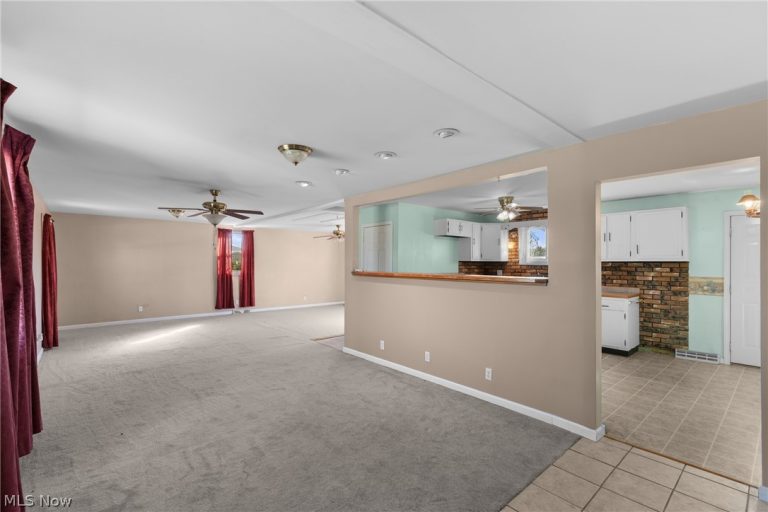 61060 Webb Heights Road, Shadyside, OH - Photo 6